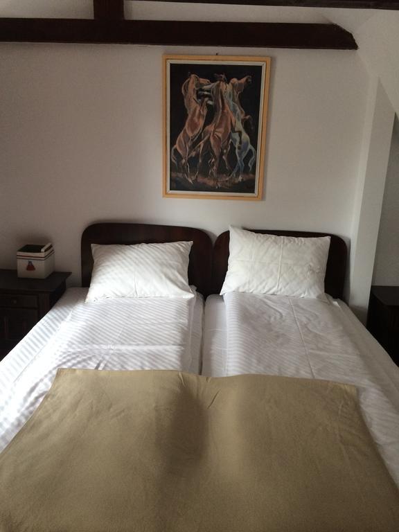 La Mos Pavel Otel Noslac Dış mekan fotoğraf
